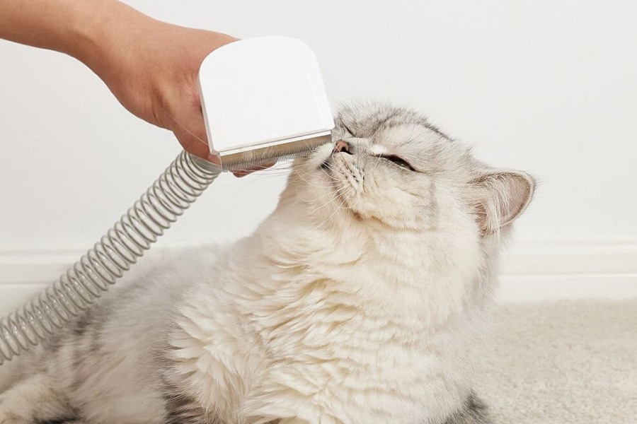 Pet Shedding Tool with Large Container